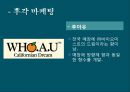 브랜딩 디자인,오감 브랜딩 조사(시각, 청각, 미각, 촉각, 후각) 레포트 6페이지