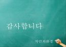 [자연과 환경] 친환경 도시 사례 - 독일, 프라이부르크 (환경오염, 환경보전, 환경).pptx 15페이지