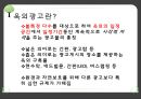 
광고계 동향(BTL)  Outdoor Advertising (옥외광고, 옥외광고 사례, 옥외광고의 특징, BTL, BTL분석, BTL사례, 옥외광고, 옥외광고 분석).pptx 3페이지