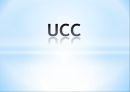 UCC_UCC개념,UCC주요기능,UCC서비스특징,UCC장점,UCC단점,UCC기대효과,UCC성공사례 1페이지