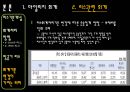 항공사회계의 IFRS 도입으로 인한 변화 및 발전방향에 대한 연구  28페이지