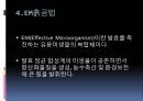 [환경기기분석-PBL 과제] 중량천 집단폐사 사건 .pptx 13페이지