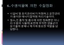 [환경기기분석-PBL 과제] 중량천 집단폐사 사건 .pptx 26페이지