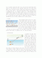 빛의 굴절과 반사, 회절,  간섭, 렌즈의 초점거리 예비- 결과 보고서 7페이지