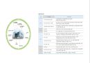 친환경 건축 사례 - SK 케미칼 연구소 7페이지