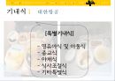 티웨이항공 vs 대한항공서비스전략분석과 장단점 비교분석 PPT자료 16페이지