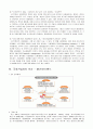 소프트 뱅크  9페이지