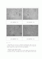 [재료공학과] 금속 조직 관찰 24페이지