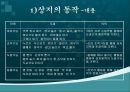 [특수교육] 치료활동 교육과정의 소개.pptx 20페이지