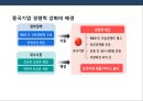 중국내수 기업의 발전 및 사례 분석.pptx 8페이지