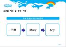 스카이프(skype)의 한국진출 전략 6페이지