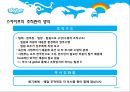스카이프(skype)의 한국진출 전략 12페이지