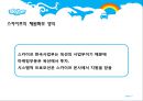 스카이프(skype)의 한국진출 전략 13페이지
