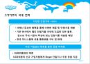 스카이프(skype)의 한국진출 전략 16페이지