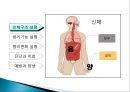 기(氣)와 음양(陰陽) (기초한의학, 기, 음양, 인체구조, 생리기능, 병리변화, 진단과치료, 예방과양생).PPT자료 13페이지