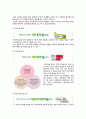 [마데카솔 마케팅전략 A+]기업선정이유/자사분석/마데카솔역사와 캠페인/경쟁사분석(후시딘)/SWOT/4P/STP전략 9페이지