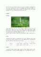 [마데카솔 마케팅전략 A+]기업선정이유/자사분석/마데카솔역사와 캠페인/경쟁사분석(후시딘)/SWOT/4P/STP전략 14페이지