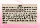 [아동미술] 아동미술의 특징, 아동화유형, 형태, 구도, 색채 PPT 파워포인트 발표 53페이지