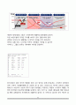 나이키(Nike) vs 아디다스(Adidas) 마케팅전략 비교분석 및 나이키와 아디다스 마케팅 성공, 실패사례 분 8페이지