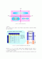 LG전자 e-HRM 사례분석  15페이지