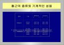 철근콘크리트공학(압축강도, 탄성계수, 인장강도, 슬럼프, 크리프, 이형철근, 원형철근) 29페이지