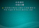 수유기영양(유방의발달과성숙, 수유생리수유기, 수유부영양, 수유부식생활관리, 모유수유, 수유자세, 유방관련문제) PPT, 파워포인트 31페이지