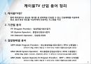 케이블TV(Cable TV) 산업의 소유규제 변화와 기업결합 형태별 생산효율성 차이의 실증 연구 발표자료.pptx 4페이지