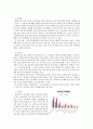 매드포갈릭 브랜드 분석 및 마케팅전략과 매드포갈릭 성공요인분석 12페이지