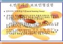 [유아교육학자]반두라 - 반두라의 생애, 반두라의 저서, 반두라의 사회학습 이론, 반두라의 보보인형실험 6페이지