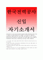 한국전력공사자기소개서_2014한국전력공사자소서,한전이직면하고있는현안,문제를개선방안,한국전력공사,KEPCO에지원하기위하여준비한것,한국전력공사지원동기,심혈을기울여목표를성취한경험 1페이지