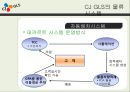 CJ GLS의 물류시스템과 물류혁신 ppt 18페이지