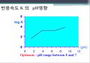 [기기분석] 칼 피셔(Karl Fischer) 수분측정법.pptx 24페이지