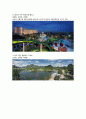 [관광학원론] 중국 투자자들을 위한 리조트 기획안 (리조트의 정의, 리조트의 유형, 리조트와 리조트 시장의 특징, 한국 리조트 시장의 전망, 리조트 개발의 효과, 리조트 개발과 전략 - STP전략) 4페이지