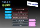 삼성SDI 기업정보분석  4페이지