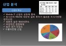 삼성SDI 기업정보분석  6페이지