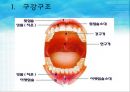 개인위생 ( 특별구강간호 & 손톱, 발톱 간호)  4페이지