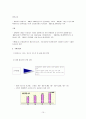 [기업정보의 이해] 포스코(POSCO) 기업경영분석 (현대제철과 상호비교분석) 10페이지