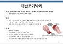 [모성간호학]임신중 출혈성 합병증- 임신 전반기 출혈성 합병증 및 임신 후반기 출혈성 합병증 20페이지