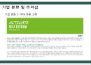 The BodyShop 바디샵 기업분석과 바디샵 경영,마케팅전략분석 PPT레포트 21페이지