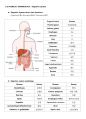 1-1-1 의약학용어(MEDICAL TERMINOLOGY) Fundamental word structure, The organization of the body (Digestive System, Respiratory System) 8페이지