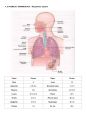 1-1-1 의약학용어(MEDICAL TERMINOLOGY) Fundamental word structure, The organization of the body (Digestive System, Respiratory System) 12페이지