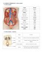 1-1-2 의약학용어(MEDICAL TERMINOLOGY) (Cardiovascular System, Urinary System, Nervous System, Skeletal System, Combining forms, Prefixes and Terminology) 4페이지