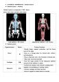 1-1-2 의약학용어(MEDICAL TERMINOLOGY) (Cardiovascular System, Urinary System, Nervous System, Skeletal System, Combining forms, Prefixes and Terminology) 11페이지