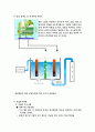 [사업계획서] [몽골 무역 아이템 선정][(주)비상주류공업 사업계획서 21페이지