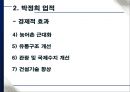 박정희의 경제발전과 부정적인 점 9페이지