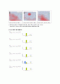 (창업계획서) 싱글족대상 염가형 스테이크 전문점 창업 사업계획서 - 입지전략과 상권분석, 경쟁사 분석, 벤치마킹 전략, 창업회사소개, 마케팅전략수립, 수익성 분석 10페이지