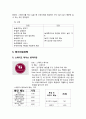 (창업계획서) 싱글족대상 염가형 스테이크 전문점 창업 사업계획서 - 입지전략과 상권분석, 경쟁사 분석, 벤치마킹 전략, 창업회사소개, 마케팅전략수립, 수익성 분석 17페이지