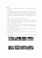 세포배양(Cell Culture / 細胞培養)의 정의, 역사 그리고 종류 5페이지