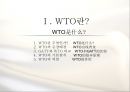 중국의 WTO 가입 배경, 역사, 전략 최종 분석PPT 3페이지