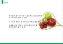 원 푸드 다이어트 One Food Diet (원 푸드 다이어트 정의, 방법, 종류, 효과, 부작용).pptx 15페이지